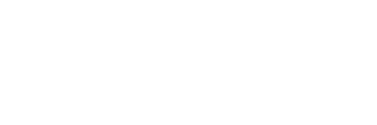 DSL